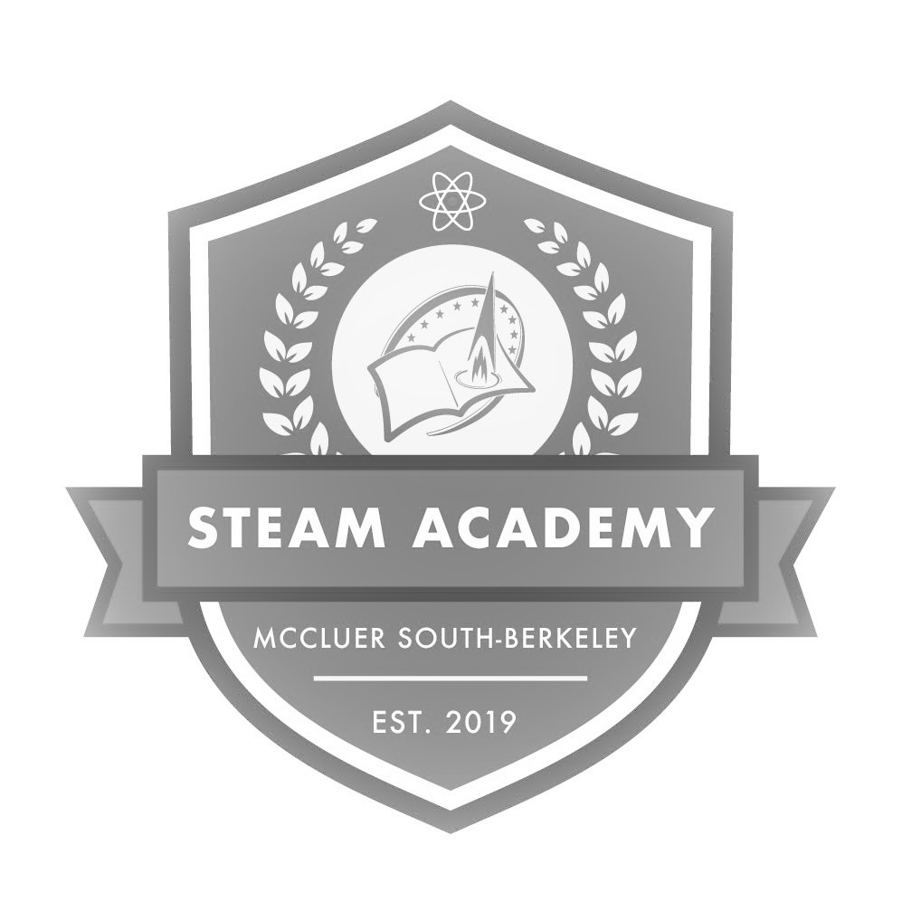 STEAM Academy